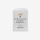 Urna per cremazione in porcellana - 6L